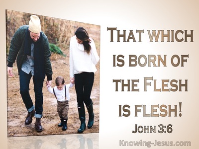 John 3:6 That Which Is Born Of The Flesh Is Flesh (brown)